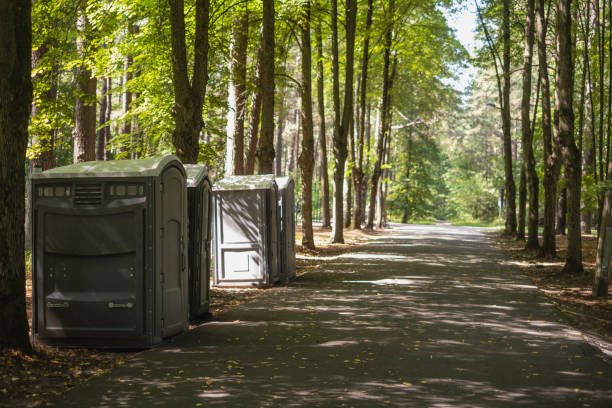 Best Porta potty services near me  in Greenup, IL